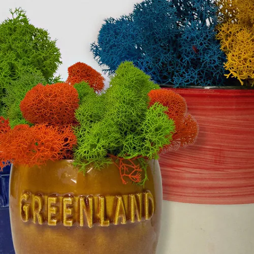 Pokloni za firme, Green Land