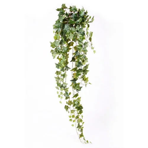 Bršljan, 120 cm, Green Land