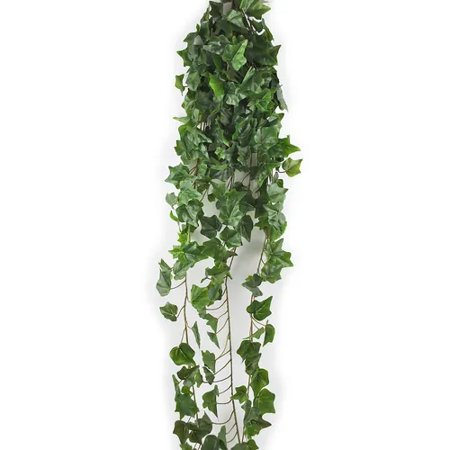Bršljan, 180 cm, Green Land