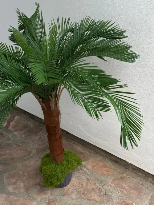 Palma, 120 cm, Green Land