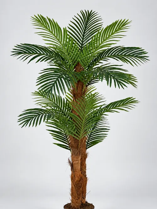 Palma, 180 cm, Green Land