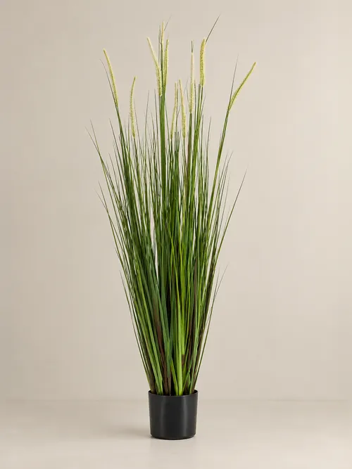 Grass bush, 70-150 cm, po porudžbini, Green Land
