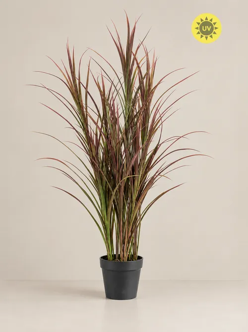 Grass bush burgundy UV, 90-115 cm, po porudžbini, Green Land