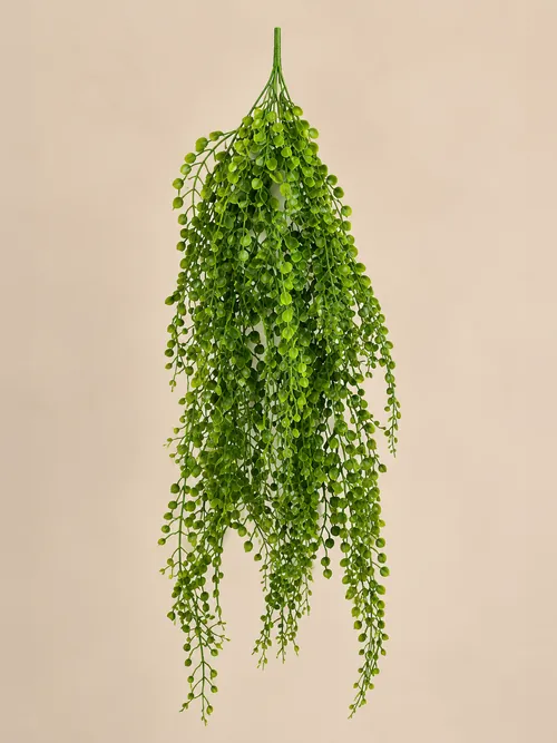 Lepidijum viseći, 80 cm, po porudžbini, Green Land