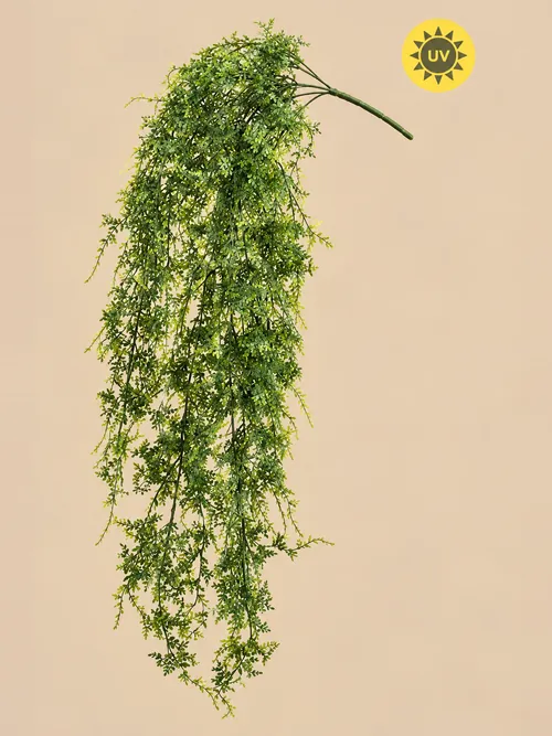 Paprat viseća UV, 80 cm, po porudžbini, Green Land