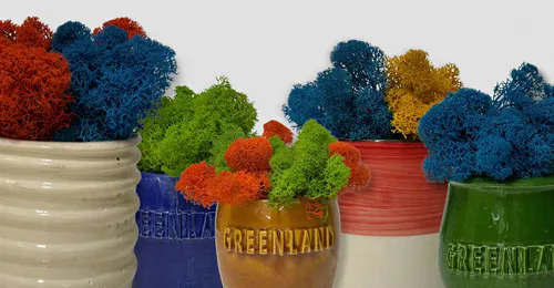 Pokloni za firme, Green Land