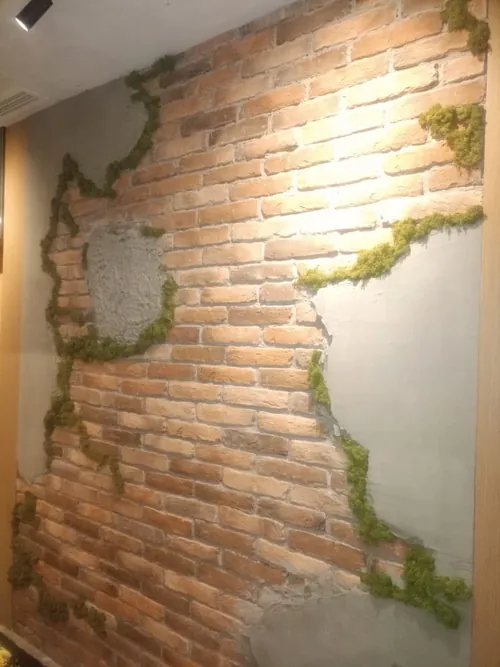 Mahovina u pukotinama zida