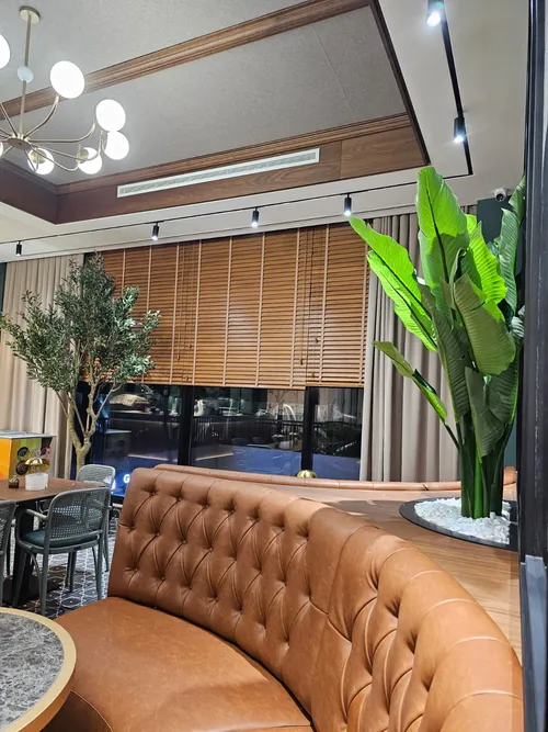 Maslina, strelicija i žardinjere u bistrou