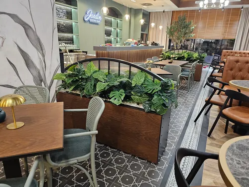 Maslina, strelicija i žardinjere u bistrou