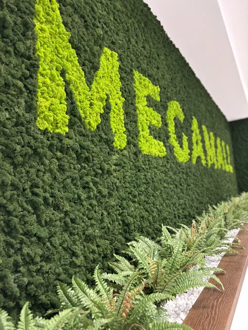 Zid od mahovine, Mega Mall